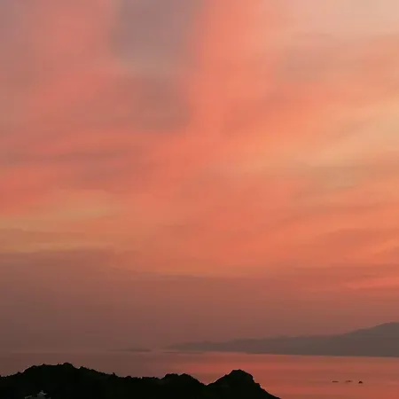 Youga Nest Apartment