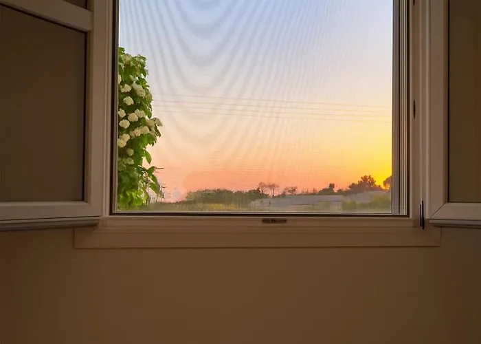 Youga Nest Apartment *