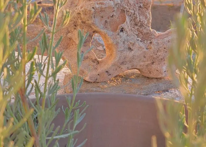 Apartment Youga Nest