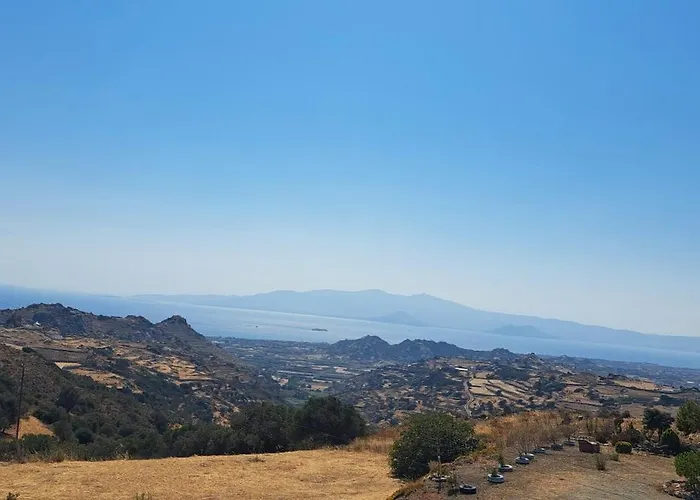 Apartment Youga Nest *