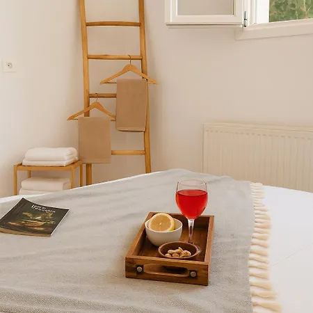 Youga Nest Apartament Vívlos