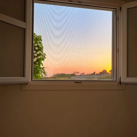 Youga Nest Lejlighed *